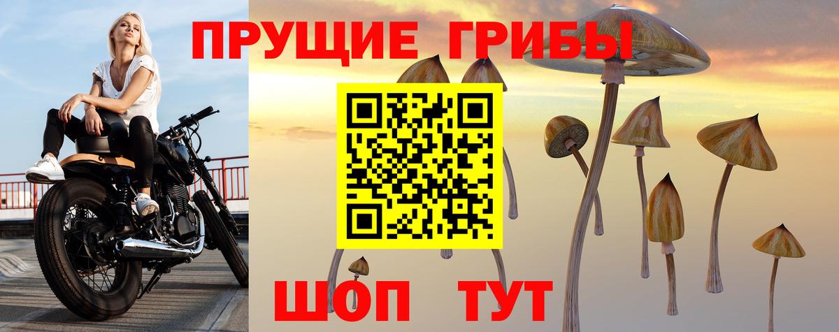 Псилоцибиновые грибы мицелий  Псилоцибиновые грибы Cubensis  Ирбит  Вход с VPN 